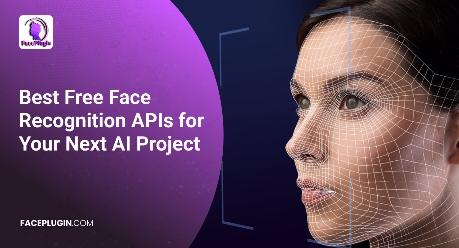 Face Recognition APIs